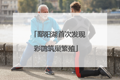 鄱阳湖首次发现彩鹮筑巢繁殖