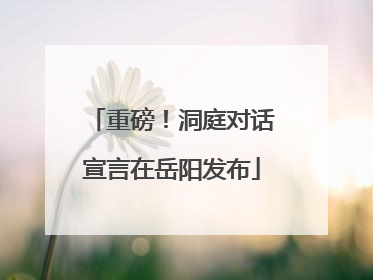 重磅！洞庭对话宣言在岳阳发布