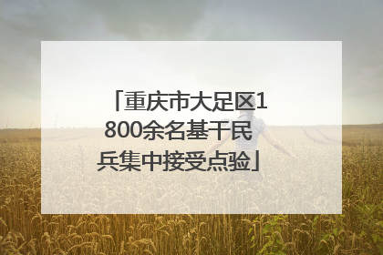 重庆市大足区1800余名基干民兵集中接受点验