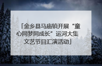 金乡县马庙镇开展“童心同梦同成长”运河大集文艺节目汇演活动