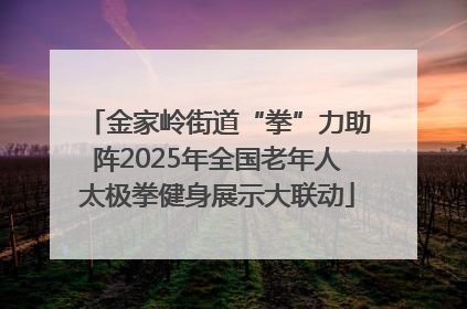 金家岭街道“拳”力助阵2025年全国老年人太极拳健身展示大联动