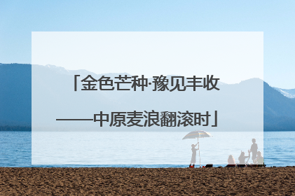 金色芒种·豫见丰收——中原麦浪翻滚时