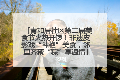 青和居社区第二届美食节火热开锣！非遗皮影戏“斗艳”美食，邻里齐聚“粽”享温情