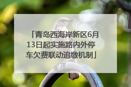 青岛西海岸新区6月13日起实施路内外停车欠费联动追缴机制