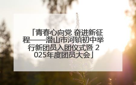青春心向党 奋进新征程——潜山市河镇初中举行新团员入团仪式暨 2025年度团员大会