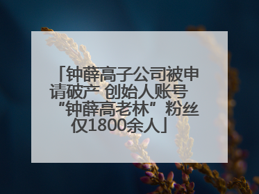 钟薛高子公司被申请破产 创始人账号“钟薛高老林”粉丝仅1800余人