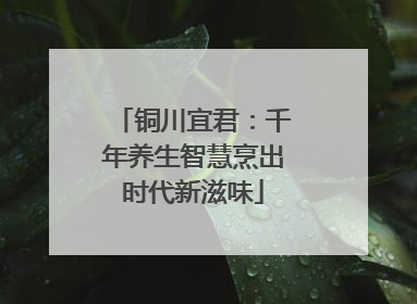 铜川宜君：千年养生智慧烹出时代新滋味