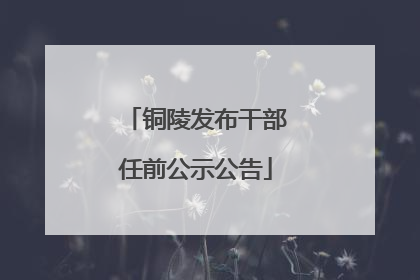 铜陵发布干部任前公示公告