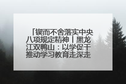 锲而不舍落实中央八项规定精神丨黑龙江双鸭山：以学促干推动学习教育走深走实 从小事入手写好“民生答卷”
