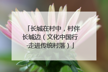 长城在村中，村伴长城边（文化中国行·走进传统村落）