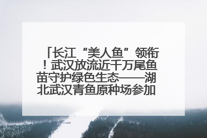 长江“美人鱼”领衔！武汉放流近千万尾鱼苗守护绿色生态——湖北武汉青鱼原种场参加2025年“全国放鱼日”增殖放流活动