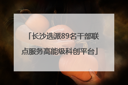 长沙选派89名干部联点服务高能级科创平台
