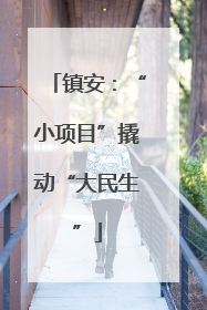 镇安：“小项目”撬动“大民生”