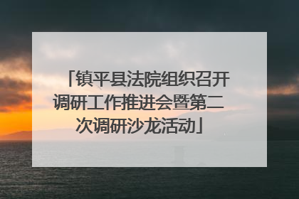 镇平县法院组织召开调研工作推进会暨第二次调研沙龙活动