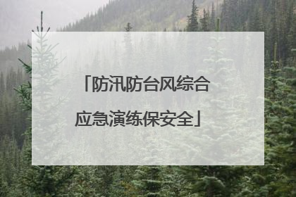 防汛防台风综合应急演练保安全