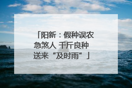 阳新：假种误农急煞人 千斤良种送来“及时雨”