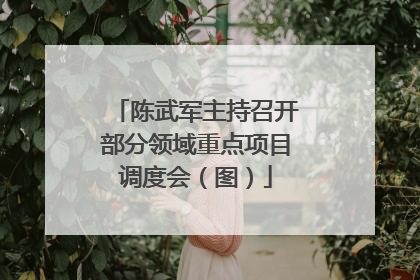 陈武军主持召开部分领域重点项目调度会（图）