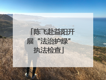 陈飞赴益阳开展“法治护绿”执法检查