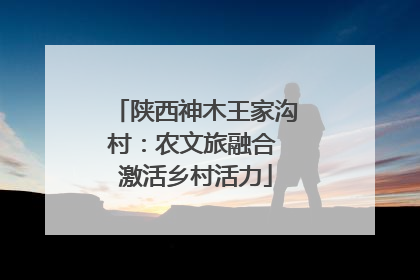 陕西神木王家沟村：农文旅融合 激活乡村活力