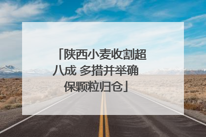 陕西小麦收割超八成 多措并举确保颗粒归仓