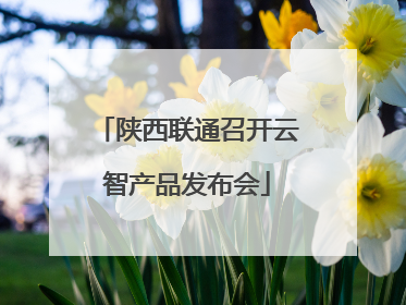 陕西联通召开云智产品发布会