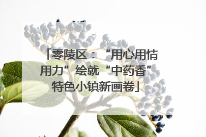 零陵区：“用心用情用力”绘就“中药香”特色小镇新画卷