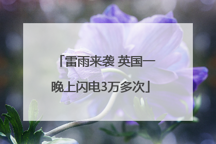 雷雨来袭 英国一晚上闪电3万多次