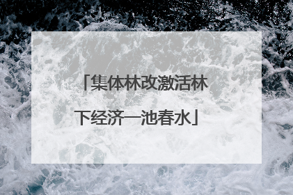 集体林改激活林下经济一池春水
