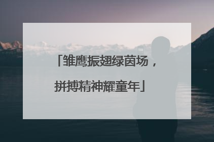 雏鹰振翅绿茵场，拼搏精神耀童年