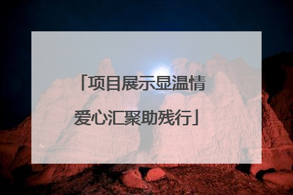 项目展示显温情 爱心汇聚助残行