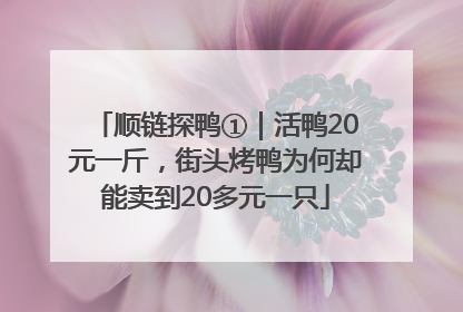 顺链探鸭①｜活鸭20元一斤，街头烤鸭为何却能卖到20多元一只
