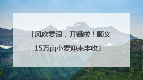 风吹麦浪，开镰啦！顺义15万亩小麦迎来丰收