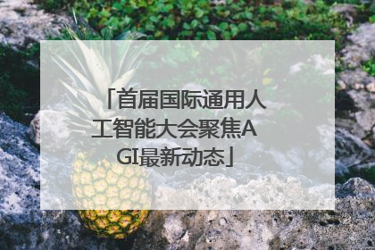 首届国际通用人工智能大会聚焦AGI最新动态