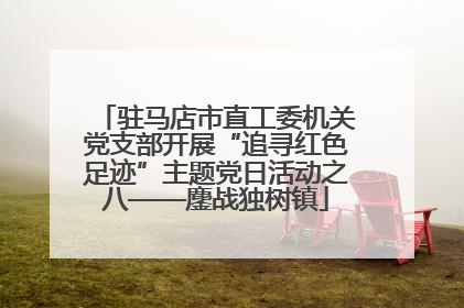 驻马店市直工委机关党支部开展“追寻红色足迹”主题党日活动之八——鏖战独树镇
