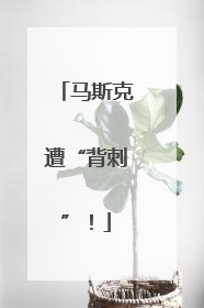 马斯克遭“背刺”！