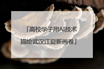 高校学子用AI技术描绘武汉江夏新画卷