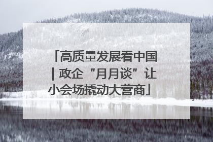 高质量发展看中国｜政企“月月谈”让小会场撬动大营商