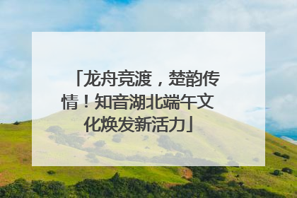 龙舟竞渡，楚韵传情！知音湖北端午文化焕发新活力