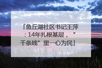 鱼丘湖社区书记王萍：14年扎根基层，“千条线”里一心为民