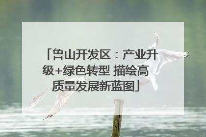 鲁山开发区：产业升级+绿色转型 描绘高质量发展新蓝图