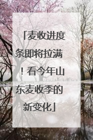 麦收进度条即将拉满！看今年山东麦收季的新变化