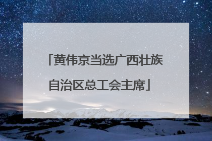 黄伟京当选广西壮族自治区总工会主席