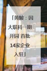 黄陂：因大联科一期开园 首批14家企业入驻