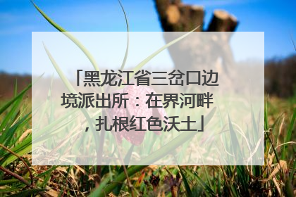 黑龙江省三岔口边境派出所：在界河畔，扎根红色沃土