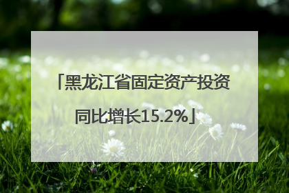 黑龙江省固定资产投资同比增长15.2%