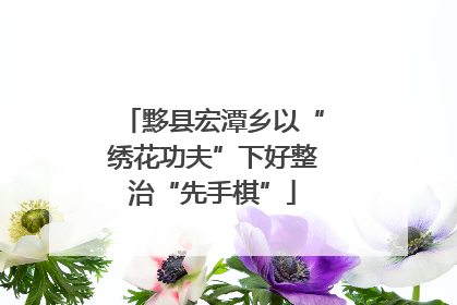 黟县宏潭乡以“绣花功夫”下好整治“先手棋”