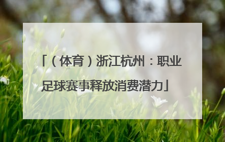 （体育）浙江杭州：职业足球赛事释放消费潜力
