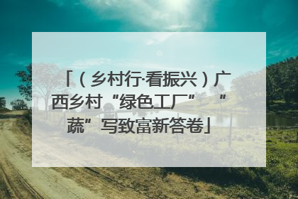 （乡村行·看振兴）广西乡村“绿色工厂” “蔬”写致富新答卷