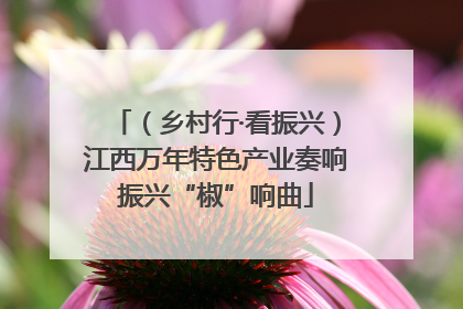 （乡村行·看振兴）江西万年特色产业奏响振兴“椒”响曲