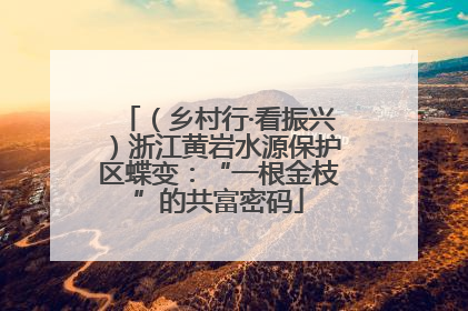 （乡村行·看振兴）浙江黄岩水源保护区蝶变：“一根金枝”的共富密码